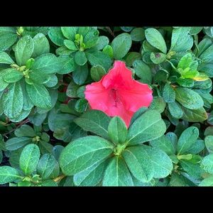 Meet your Posher, Ebonie